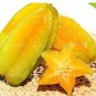 100 Averrhoa Carambola Seeds