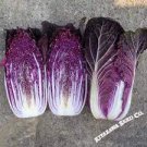 50 Red Chinese Cabbage Seeds