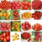 200 Seeds Tomoto mixed packed Purple Black Red Yellow Green Cherry Peach Pear Tomato Seeds