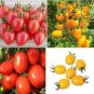 200 Seeds Tomoto mixed packed Purple Black Red Yellow Green Cherry Peach Pear Tomato Seeds