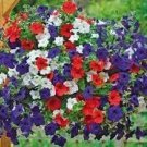 120 Mix Petunia Splendid in Hanging Baskets and Containers Seeds