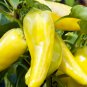 380 Middle Long Yellow Hot Pepper Chili Vegetable Seeds