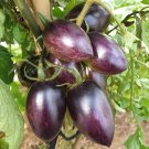 300 Purple Amaranthine Tomato Seeds