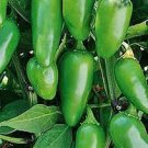 500 Green Pickled Bubble Hot Chili Peppers Seeds