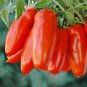 400 New Rare Green Red Long Tomato 'OX Horn' Organic Seeds