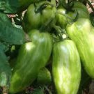 30 Green 'Banana' Tomato Seeds, Heirloom Tasty Tomato Vegetables Seeds