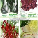 12 Asparagus Fern GOLDEN STRING PUMPKIN Long White Eggplants Tomato Seeds