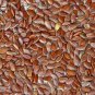 50 Rare the Himalayas Green Ball Flax Seeds