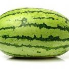 20 Colorful Ellipse Sweet Melon Seeds