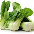 30 Heirloom Chinese Cabbage Wong Bok Vegetable Seeds
