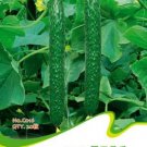 9 Combos Cucumbers Seeds