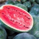 20 Big Pink Watermelon Improved Seeds