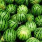 20 Green Skin Red Sweet Watermelon 'Twins' Organic Seeds