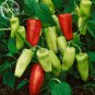 20 Heirloom Organic Green Red White Hot Chilli Pepper Vegetables Seeds