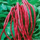 15 Heirloom Red Long Cowpea Vegetable Hybrid Seeds
