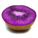 50 Rare Heirloom Organic Purple Kiwi Fruit Seeds
