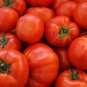 100 Big Beef Tomat Seeds