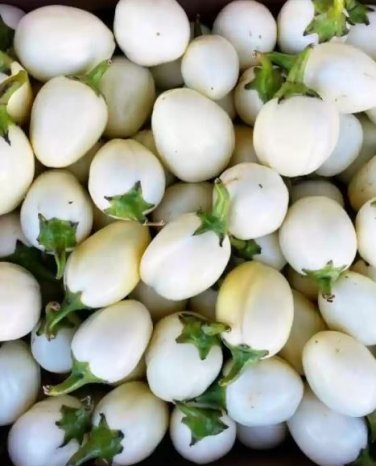 100 Asian White Eggplant Seeds