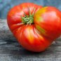 Giant Tomato - 100 Seeds
