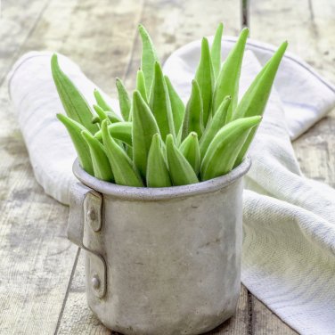 Okra Dark Green Shot Gumbo Vegetables - 300 Seeds