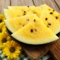 Watermelon Seeds Crimson Sweet Non gmo Heirloom - 10 Seeds