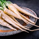 White Gem Parsnip Carrot Vegetables - 100 Seeds