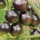 the Most Black Tomato in the world Fruit - 100 Seeds
