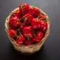 Trinidad Scorpion Pepper Professional Pack BUTCH Worlds Hottest Chilli - 20 Seed