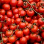 'Red Saint' Cherry Tomatoes 200 Seeds