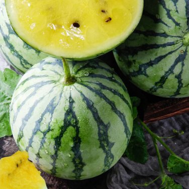 'Kylin Ice Cream' Series Watermelon 20 Seeds