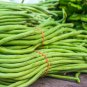 Long Bean - 20 Seeds