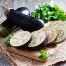 Shiny Black Beauty Thick and Tender Long Eggplant - 400 Seeds