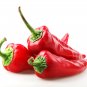 Sweet Pepper Ox Ear red green pepper organic non gmo - 600 Seeds