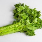 Chinese Celery Khuenchai Kan-tsai Kin-tsai Kunchoy Qincai Kinchay - 2000 Seeds