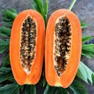 Hybrid Papaya - 300 Seeds