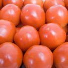 'Pink Girl' Big Bunches of Tomato - 100 Seeds