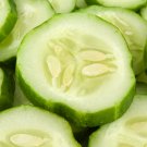 Short Green Cucumber Organic - 20 Seeds