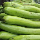 Taiwan Green Long Eggplant - 10 Seeds