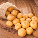 Piece Potato Yukon Gold Flavorful Yellow-Skinned and Yellow-fleshed - 150 Seeds