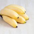 Mini Banana Bonsai Fruit - 100 Seeds