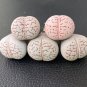 Ball Conophytum vanzylii Lithop Greyish White Succulent - 100 Seeds