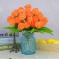 Champagne Hydrangea Ice Cream Light Orange Flowers - 20 Seeds