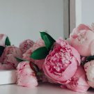 Peony Flower Bonsai - 10 Seeds