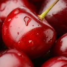 Super Sweet Bonsai Cherry Fruits - 60 Seeds