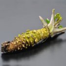 Wasabi - 400 Seeds