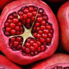 Giant Pomegranate-  20 Seeds