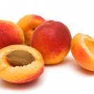 Apricot Self-fertile Sweet Tasty Orange Fruit - 20 Seeds