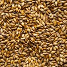 Barley - 50 Seeds