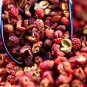 Corn Chinese Prickly Ash - 100 Seeds