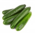Dark Green Cucumber - 25 Seeds